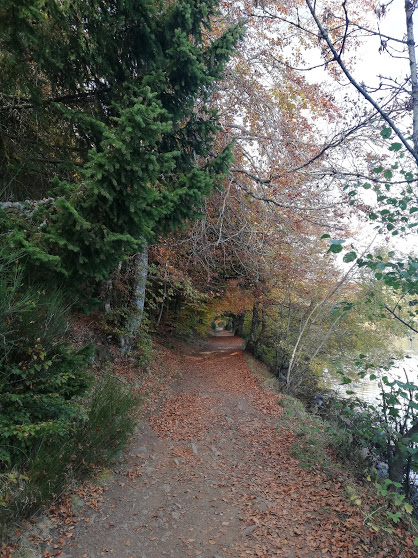 Promenades d'automne...