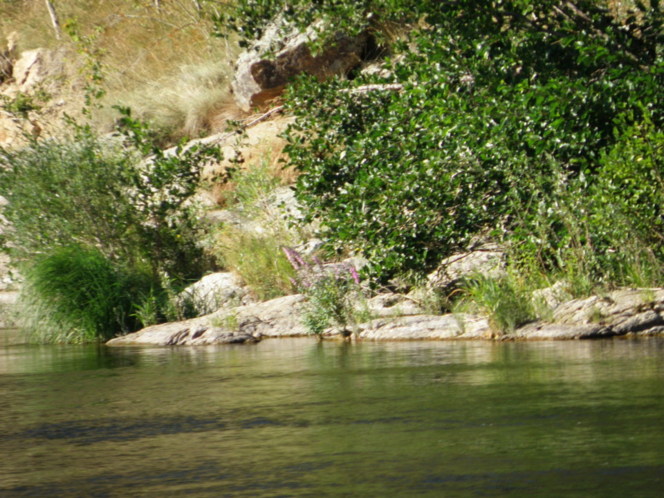 La Loire peut rivaliser avec l'Ardèche : se baigner près du Puy-en-Velay