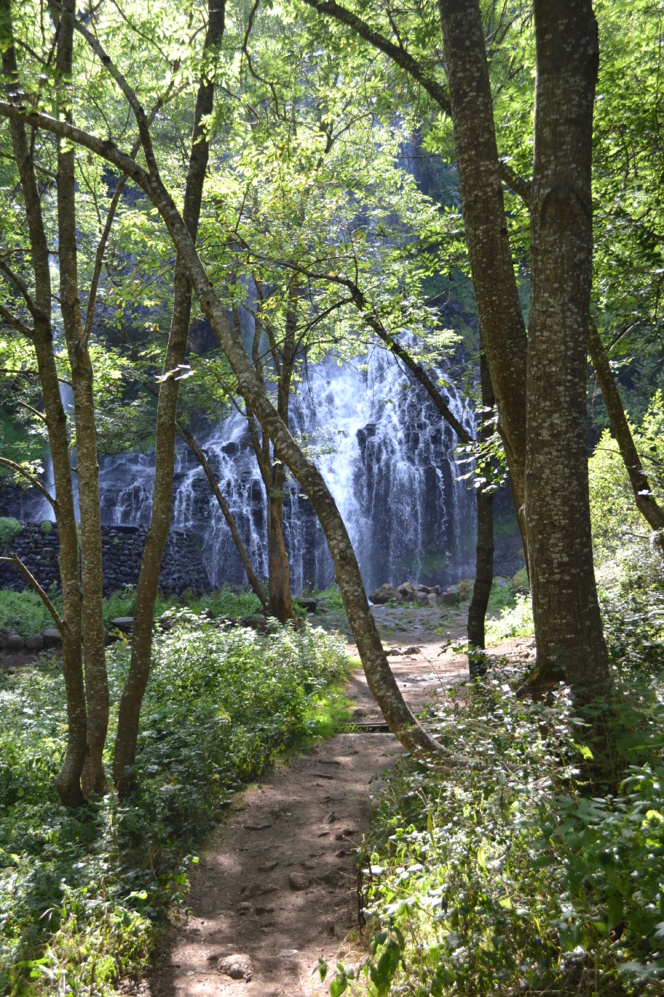 Promenade au frais par temps de canicule : la ballade des chutes de la Beaume