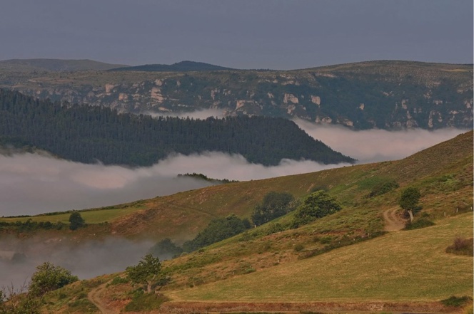 Cliquez sur la photo pour accéder au site du Grand Trail Stevenson