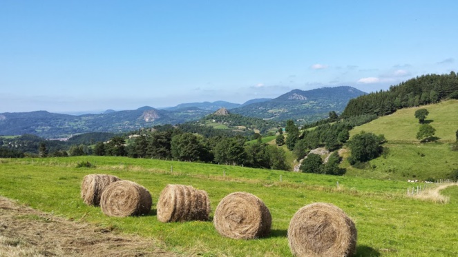 Le charme des saisons, c'est d'attendre la saison suivante avec impatience aussi!