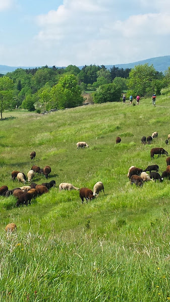 Le Chemin, La Nature, Le Bonheur...