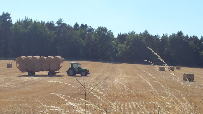 Un air de Provence en Haute-Loire, moi qui voulais aller au Sud...