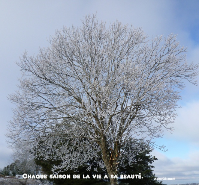 La beauté est toujours une source d'inspiration contagieuse...