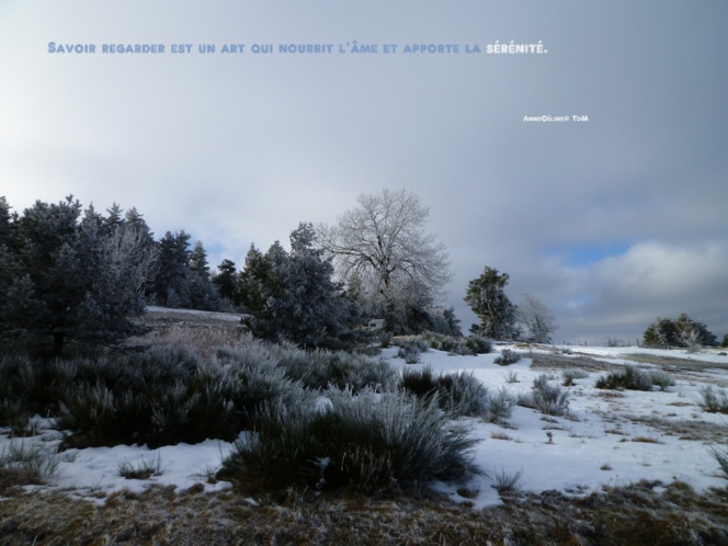 La beauté est toujours une source d'inspiration contagieuse... La beauté est toujours une source d'inspiration contagieuse...