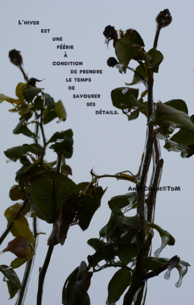 La beauté est toujours une source d'inspiration contagieuse... La beauté est toujours une source d'inspiration contagieuse...