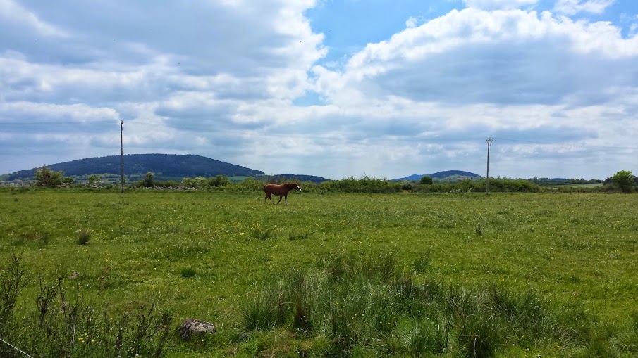 Le Chemin, La Nature, Le Bonheur...