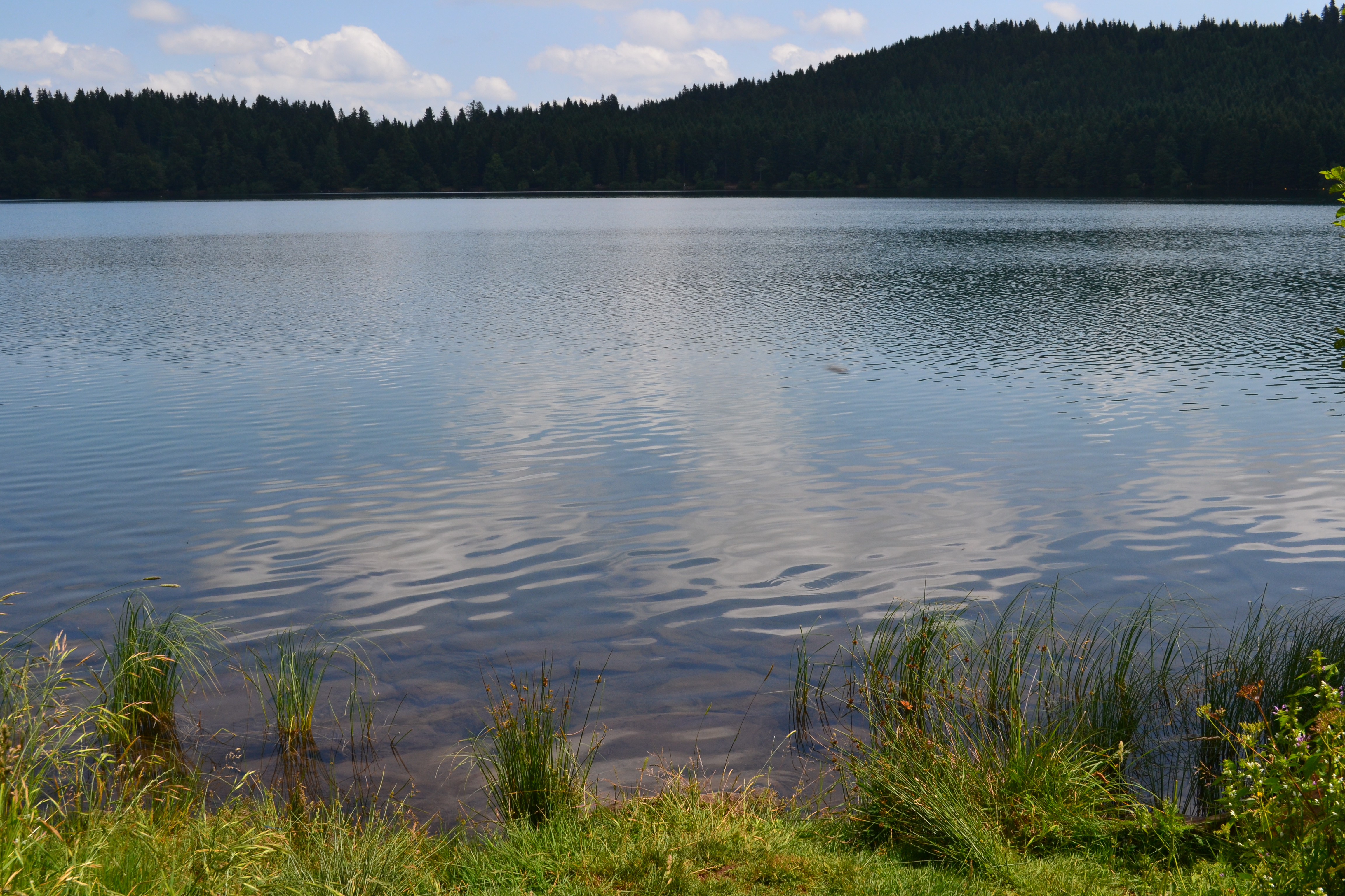 Le Lac du Bouchet, ecco l'eau pure ( ecolo pur!)