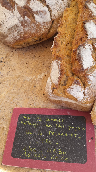 Que peut-on faire pour la planète écolo au niveau de petites chambres d'hôtes sur le Chemin?