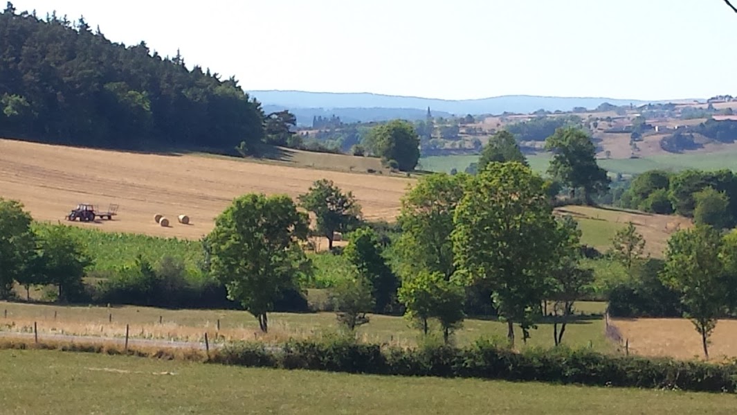 Un air de Provence en Haute-Loire, moi qui voulais aller au Sud...