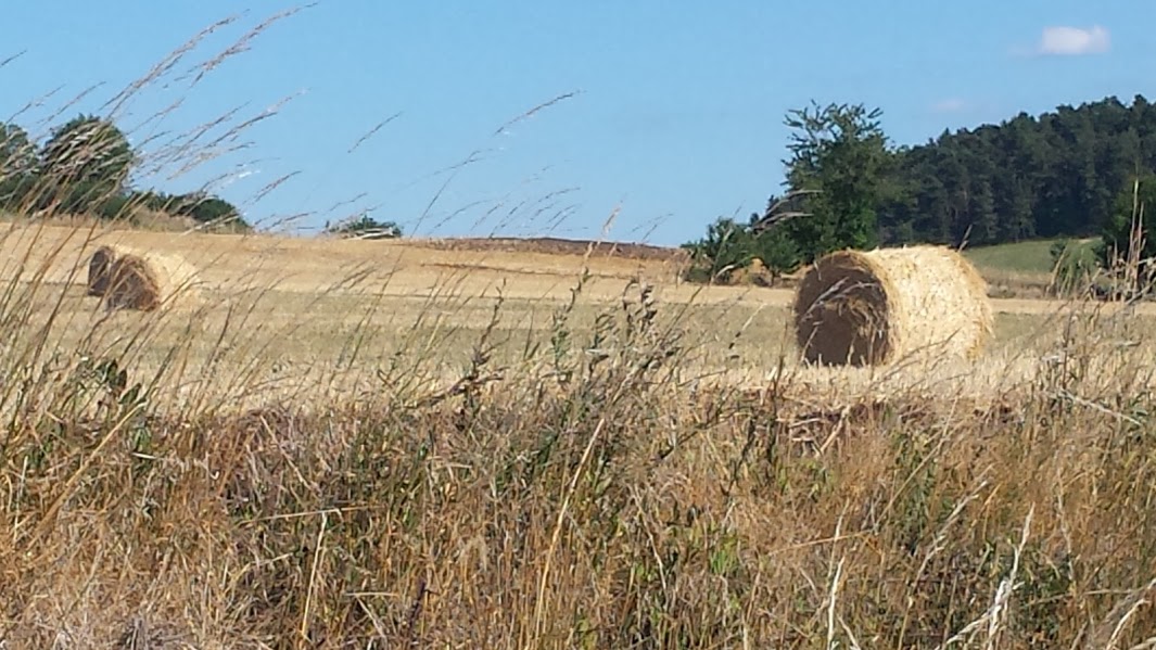 Un air de Provence en Haute-Loire, moi qui voulais aller au Sud...