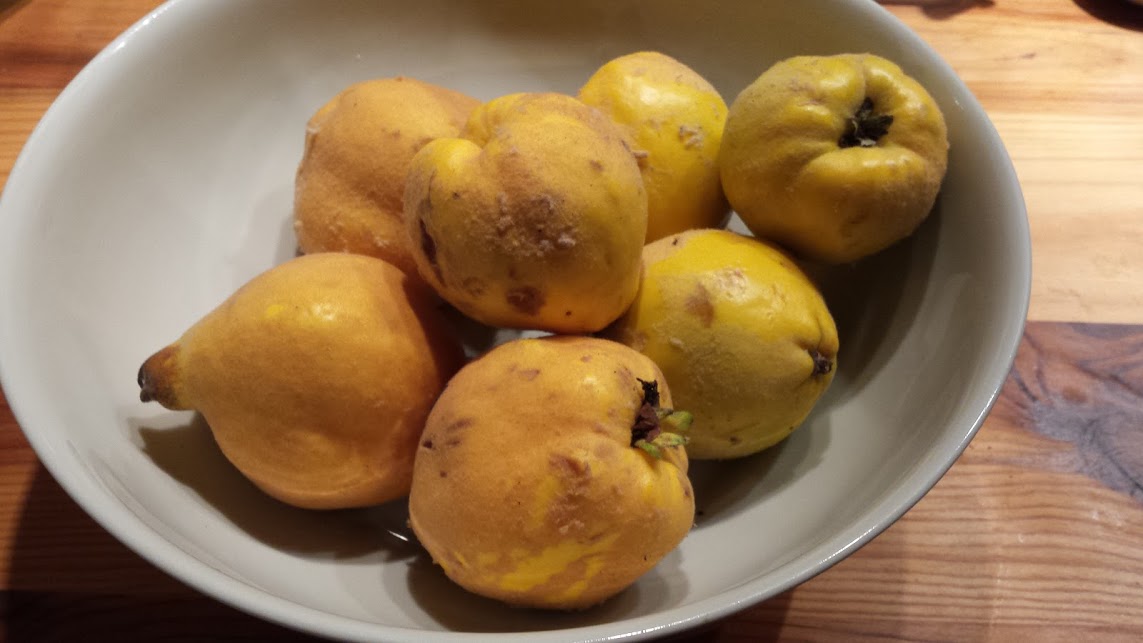 En automne, le bon " coing"...c'est à la Terrasse de Marie! En automne, le bon " coing"...c'est à la Terrasse de Marie!