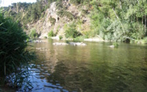 La Loire peut rivaliser avec l'Ardèche : se baigner près du Puy-en-Velay