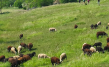 Le Chemin, La Nature, Le Bonheur...