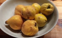 En automne, le bon " coing"...c'est à la Terrasse de Marie! En automne, le bon " coing"...c'est à la Terrasse de Marie!